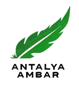 Antalya Ambar firması logo tasarım